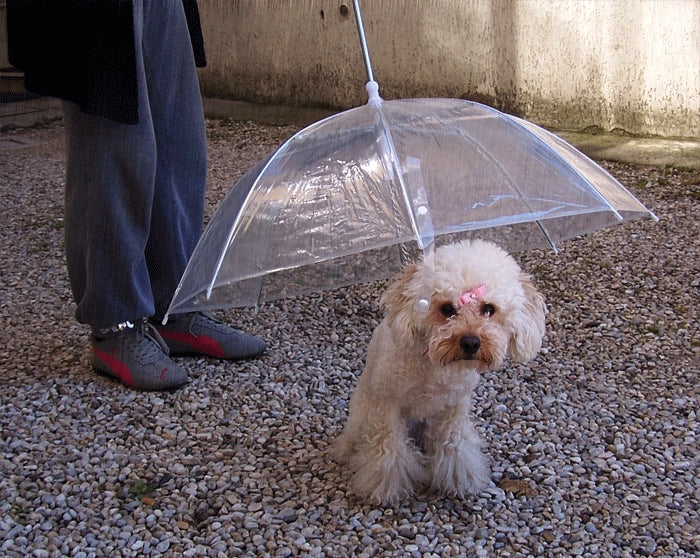 OMBRELLO GUINZAGLIO CANE RIPARO PIOGGIA IMPERMEABILE TRASPARENTE ASCIUTTO CANI