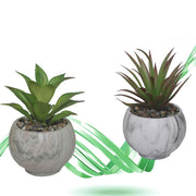 Trade Shop - Vaso Ceramica Con Piantina Artificiale Pianta Idea Regalo Bomboniera Eff. Marmo -