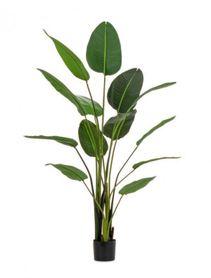 Set 2 Piante Artificiali Strelitzia 170x32x185 cm in Plastica con Vasi Verde
