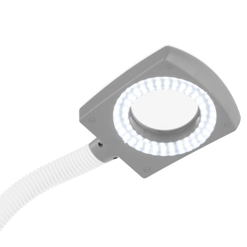 Vaporizzatore con lampada d'ingrandimento e funzione aromaterapia 750 + 9,5 watt 700 ml acciaio inox gomma plastica bianca 14_0010191
