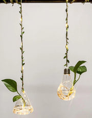 Due vasi per piante ad incasso con illuminazione, vaso per piante da appendere per piante di stanza, contenitore per terrario, vaso per piante in vetro, piante in coltura idrica, decorazione, vaso per fiori miniatura per casa, ufficio, giardino