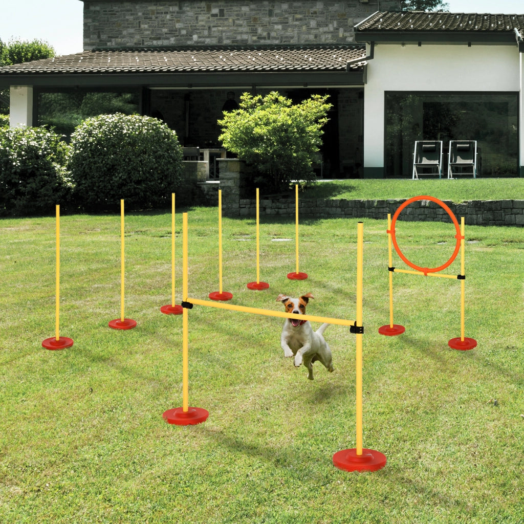 Set Agility per Cani ¨C zephmum ¨C 6 Stanghe Slalom, Ostacoli, Cerchio, Borsa