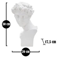 Scultura Roman Young cm 20X17,5X30