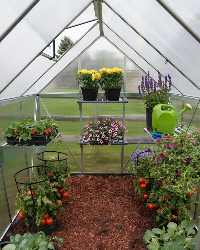 Kit Di Due Ripiani Per Serra