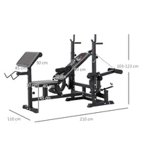 Panca da Palestra Regolabile con Supporto per Bilanciere 210x110x103-123 cm in Acciaio e PU Nero