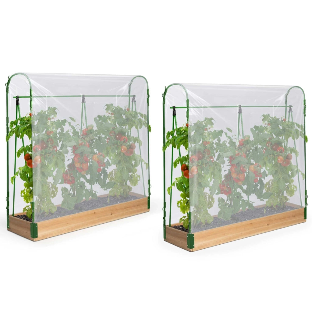 IDMarket - Serre per pomodori modulari Duo kit speciale di crescita completo di telo + supporto