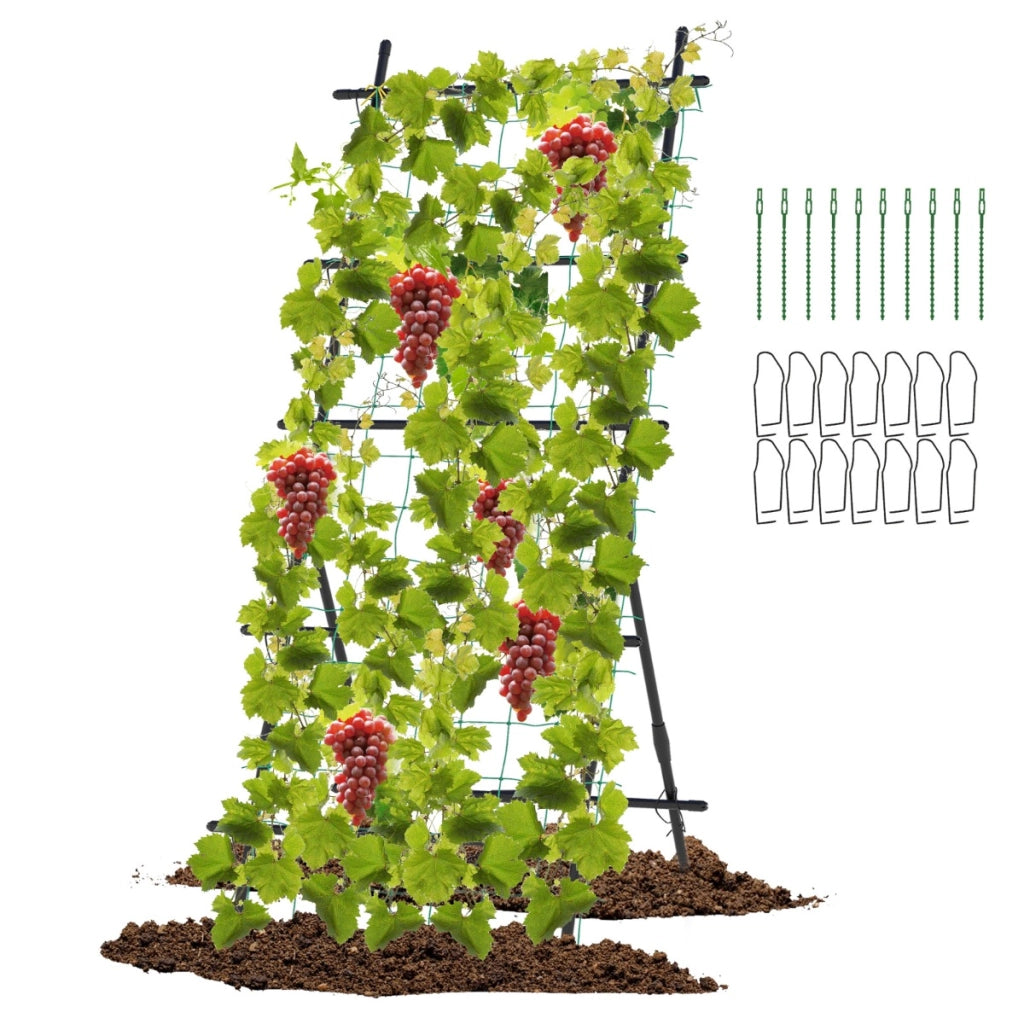 Traliccio da giardino alto 187cm per piante rampicanti-Supporto verticale per piante con rete pali in metallo Nero