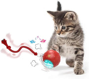 Giocattolo Interattivo per Gatti Bal Eletrico Automatico Giocattolo per Gatti Interni 2 Modalità Movimento Irregolare Giocattolo per Gatti Interni Adulti - Tutti i Tipi di Pavimento e Tappeti