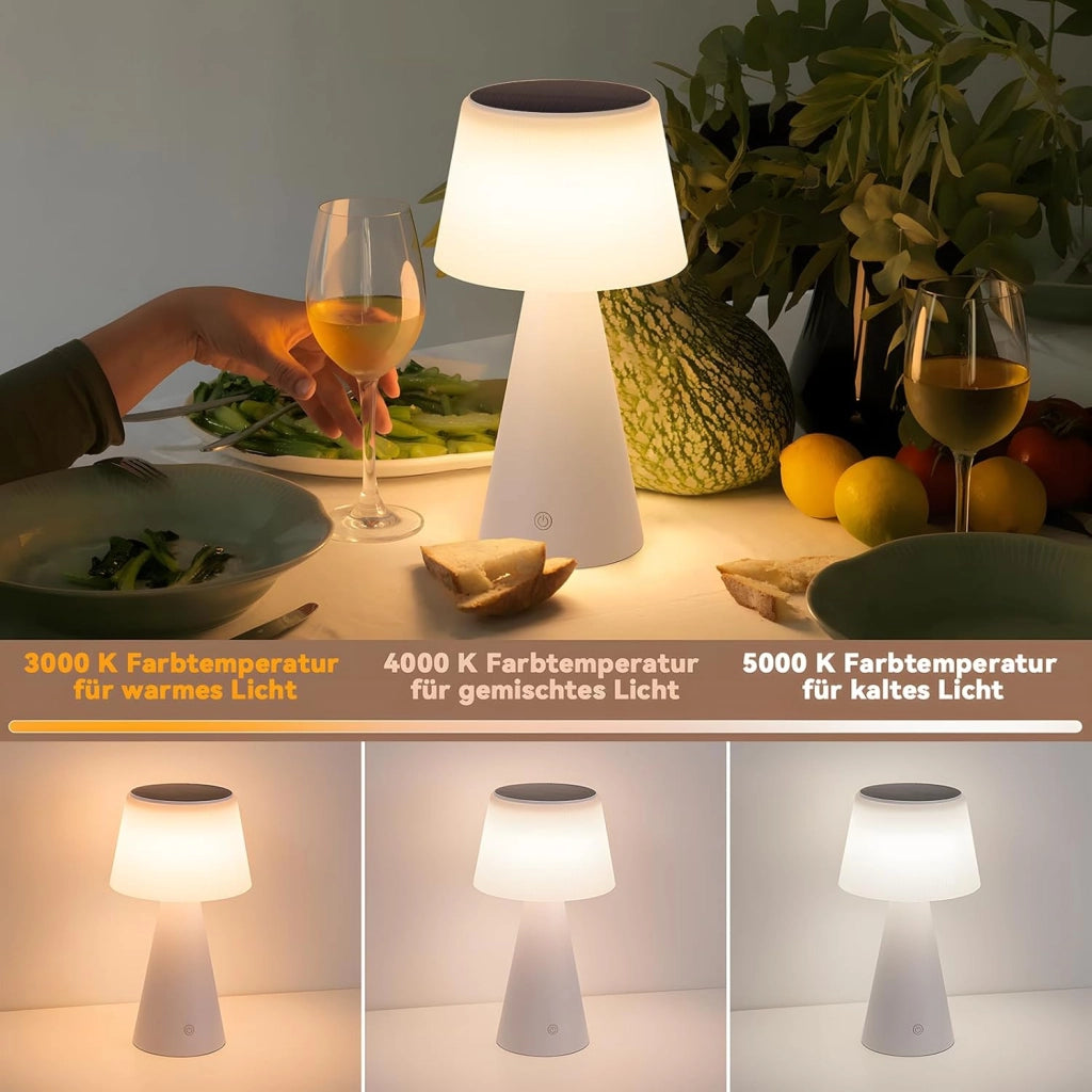 ZMH Lampada da tavolo LED wireless solare batteria moderna dimmerabile per soggiorno giardino comodino
