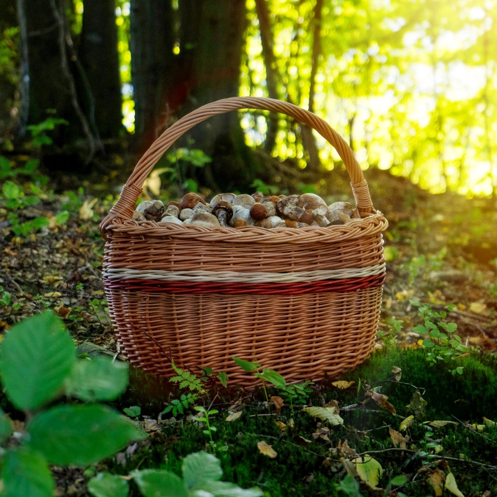 Cesto in vimini KADAX per funghi, spesa, picnic, frutta, vimini, grande, ecologico