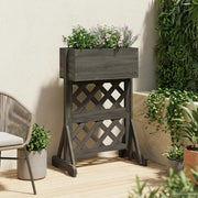 Trellis da Giardino Verticale Grigio 48 x 30 x 70,5 cm 42035230