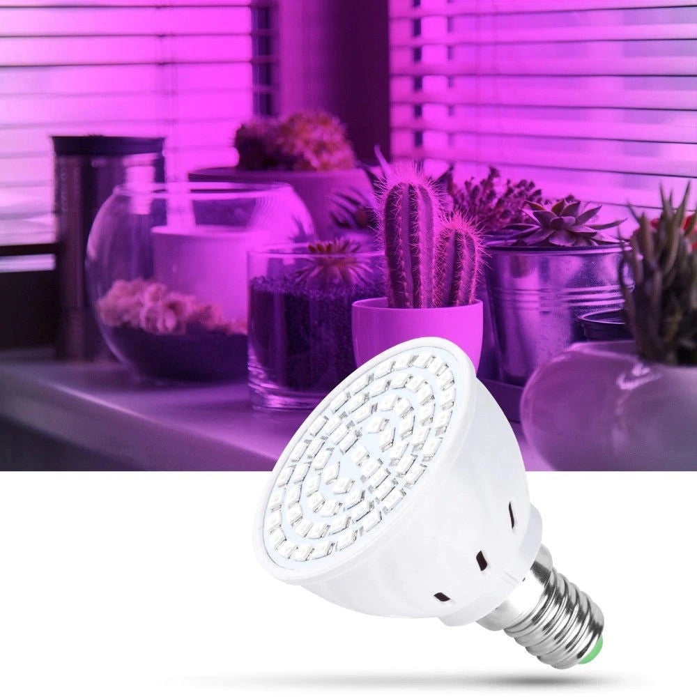 Trade Shop - Lampadina Led Smd Lampada 2w Per Coltivazione Piante Fiori Idroponica E14 E27 -       -e14-