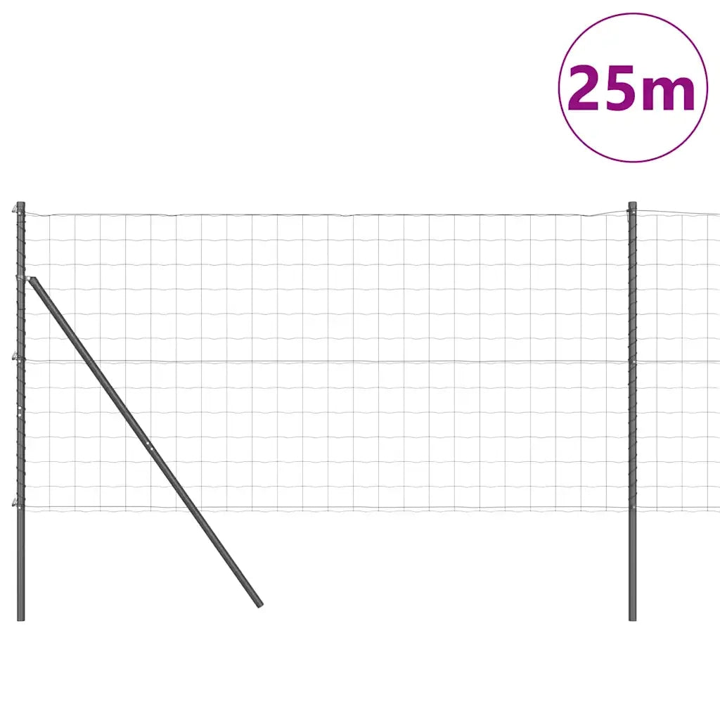 Recinzione con Posto Grigio 1,2 x 25 m Acciaio