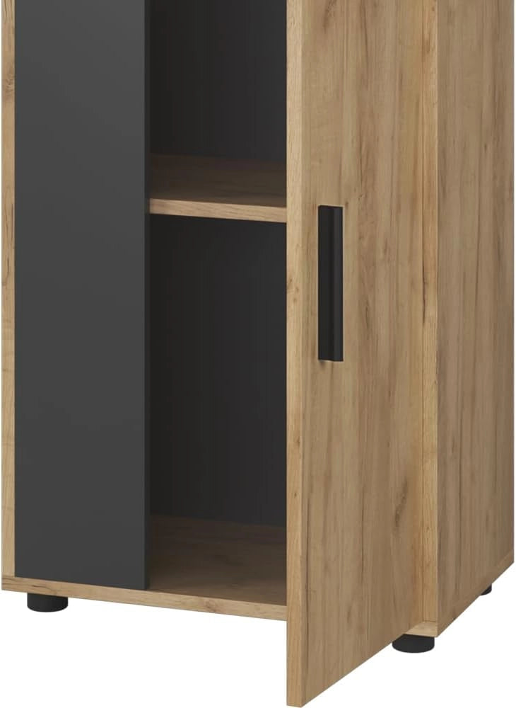 Cassettiera Berno, Quercia dorata/antracite, 50.1 x 87.3 cm con 2 scomparti, adatto per riporre oggetti di vario tipo