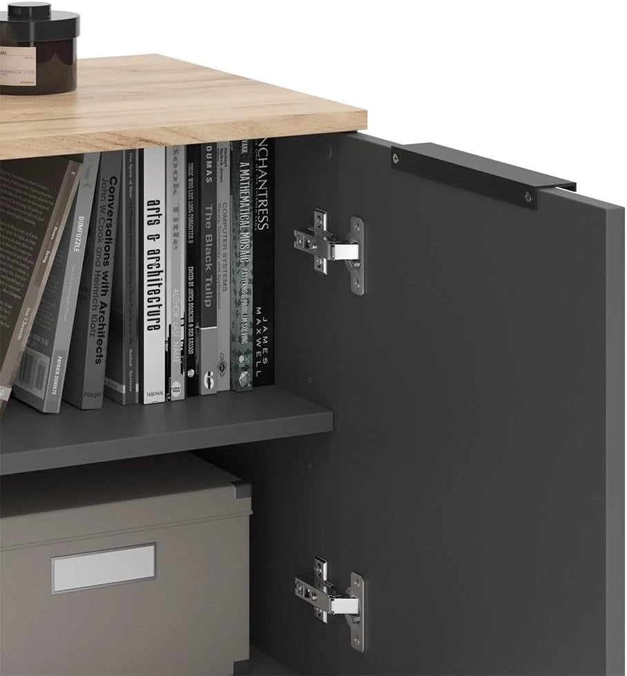 Credenza Wido, Antracite, 80 x 50 cm con 2 porte, adatto per riporre abiti e oggetti per la casa
