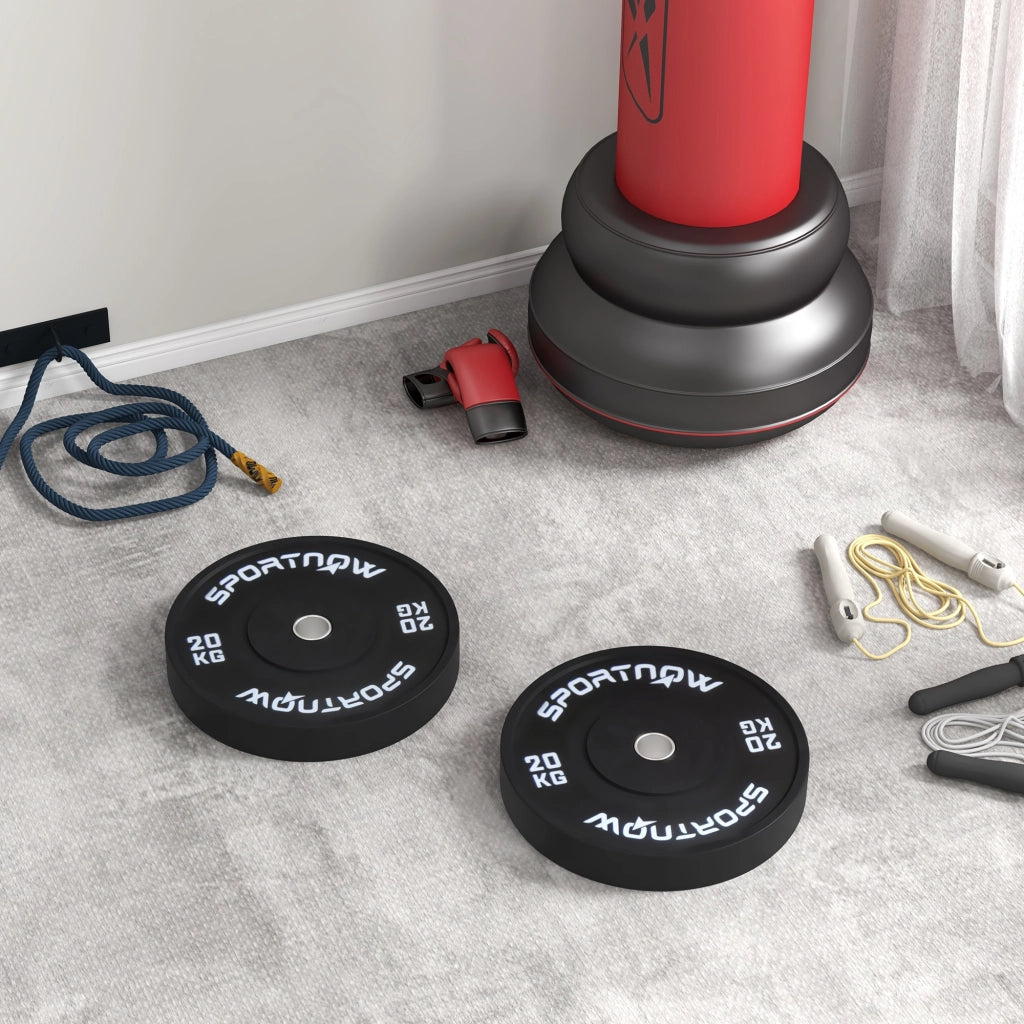 Set di 2 Dischi Palestra da 20kg per Bilanciere e Manubri con Attacco ?5cm, Nero