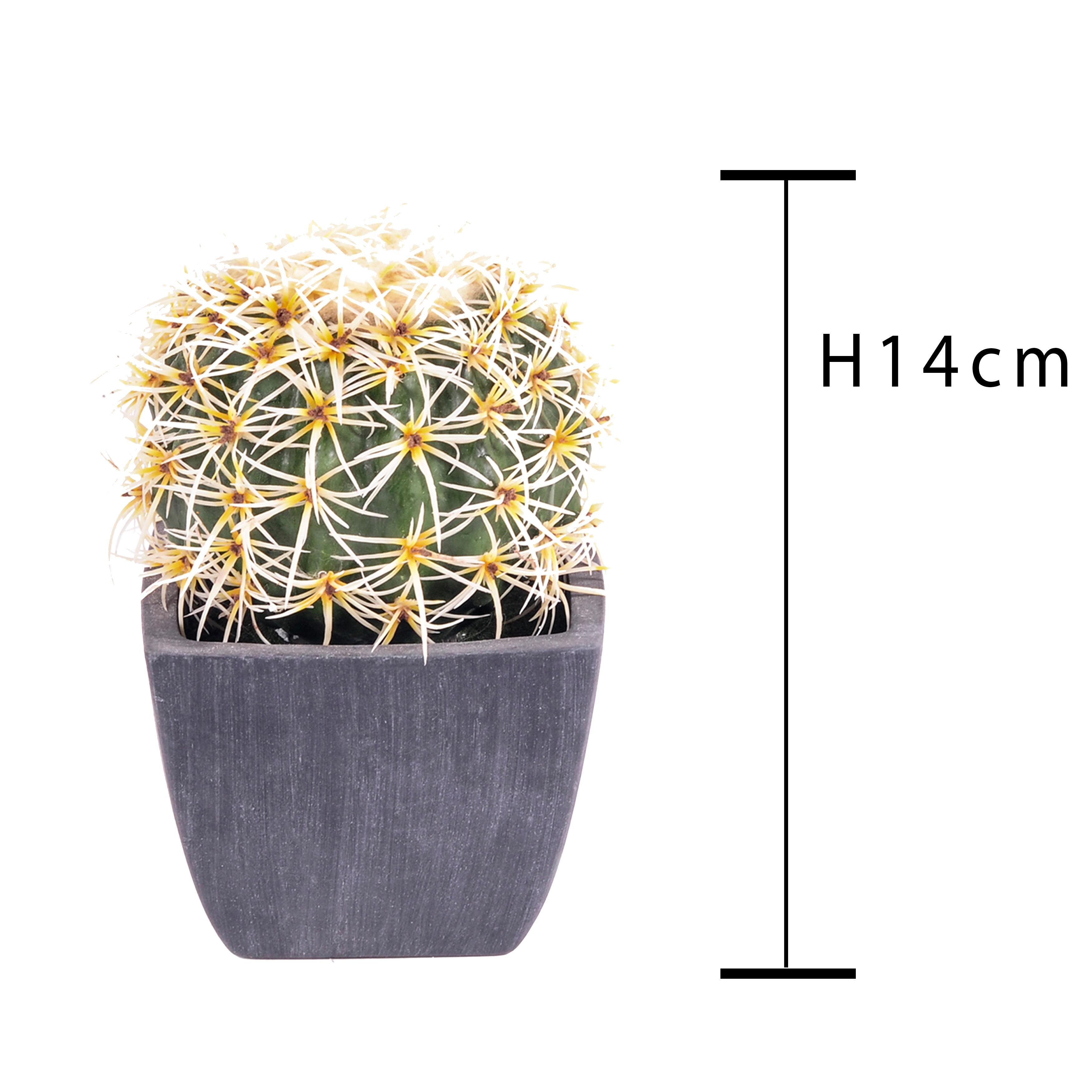 Set 2 Piante Artificiali Cactus con Vasi Ø 14 cm