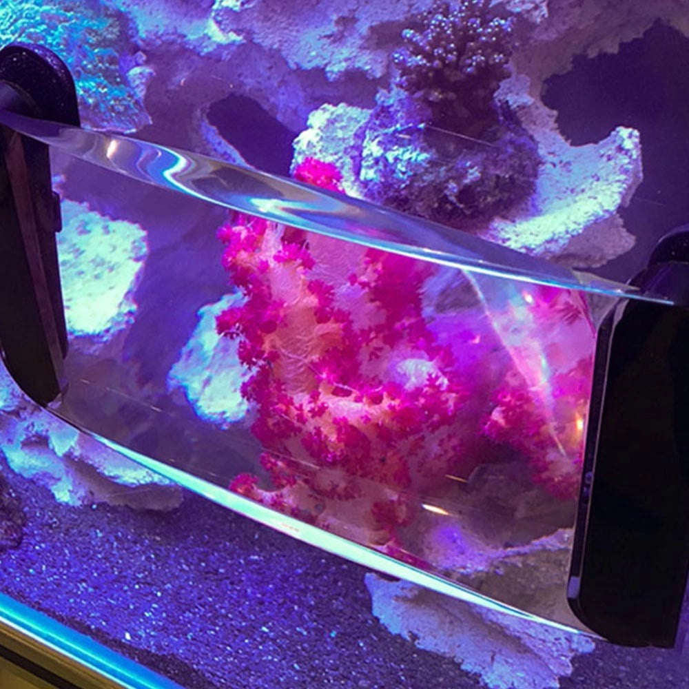 Maxspect Fragnifier 3in1 - lente d'ingrandimento con taleario e spazzole magnetiche incorporati