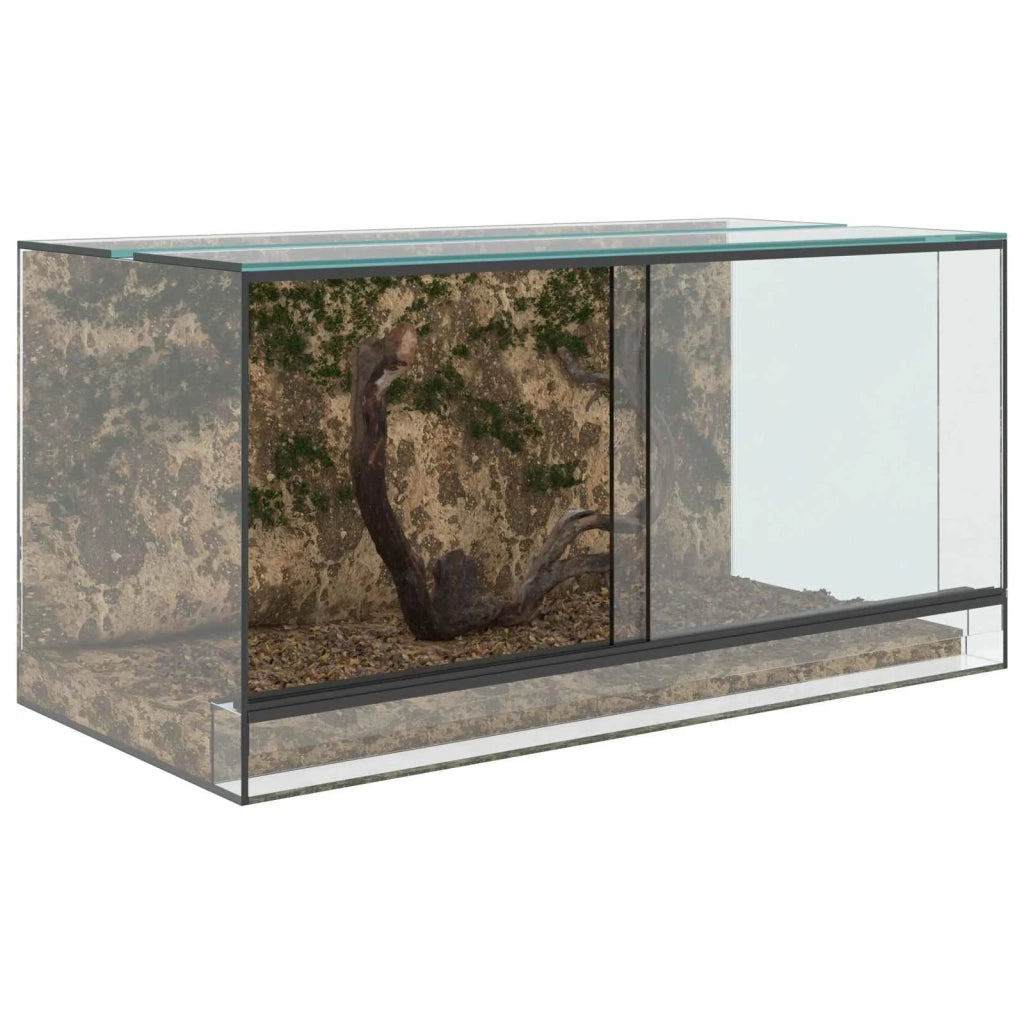 Terrario con archiviazione Trasparente 80 x 40 x 40 cm Vetro