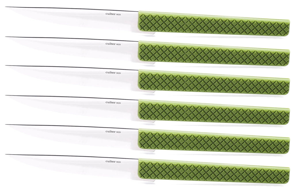Set 6 Coltelli da Tavola Lama Liscia Manico in Polipropilene K8 Turtle Verde