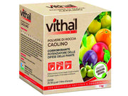 POLVERE DI ROCCIA CAOLINO VITHAL BIO  kg.1    VITHAL