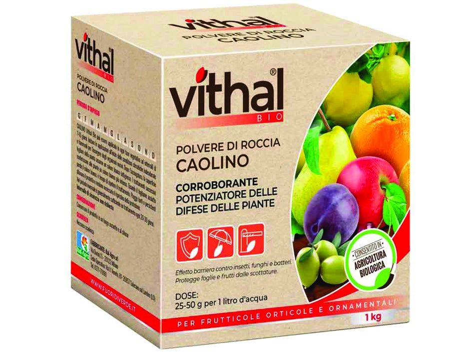 POLVERE DI ROCCIA CAOLINO VITHAL BIO  kg.1    VITHAL