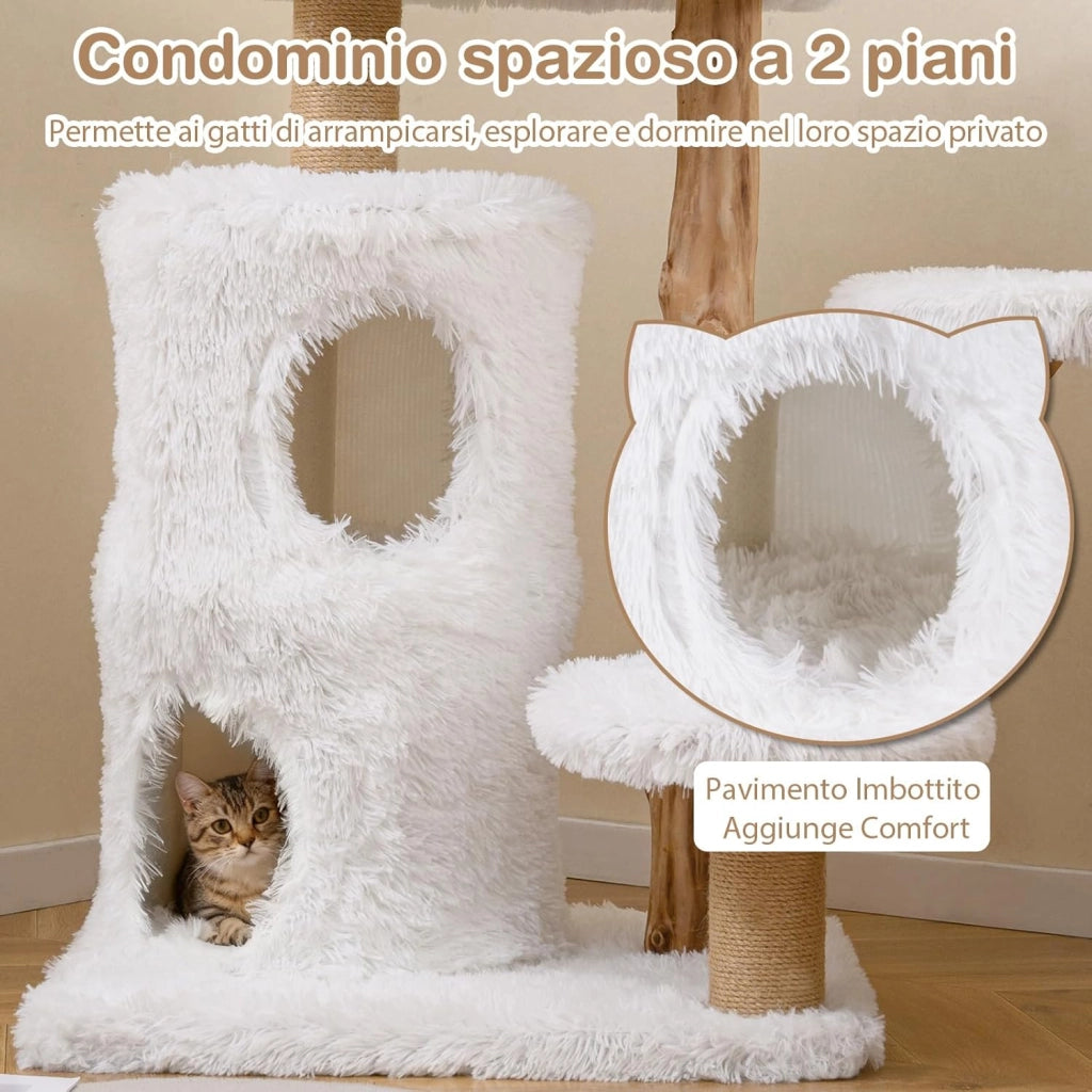 Albero per Gatti Moderno da Interno, Tiragraffi per Gatti con Rametti in Legno, Tiragraffi, Condo a 2 Piani, Posatoio Morbido in Cima e Piattaforme Imbottite, Centro Attività per Gattini