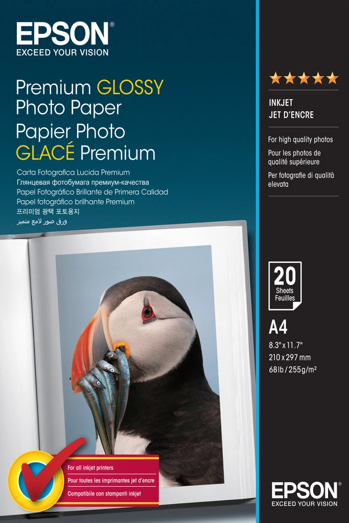 Carta fotografica lucida a4 20fg - C13S041287