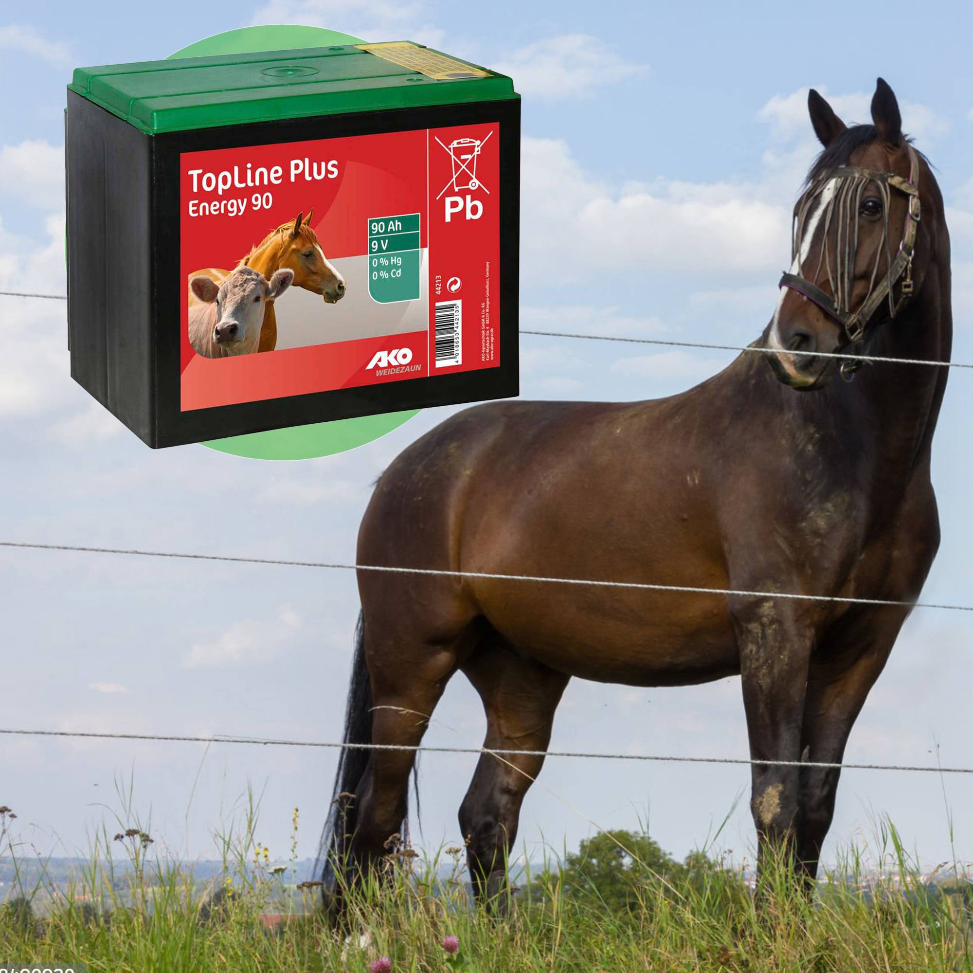 BATTERIA PILA SALINA 55 90 E 130 AH 90 AH