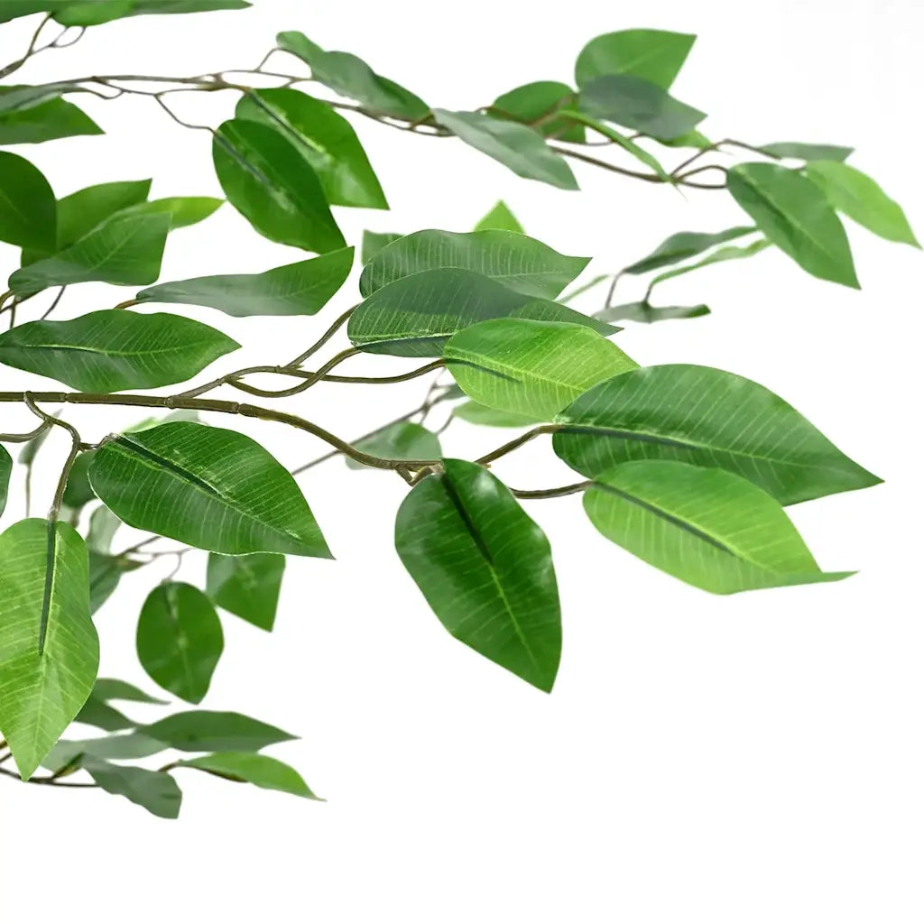 Pianta di Ficus Artificiale 2016 Foglie 300 cm Verde 4103588