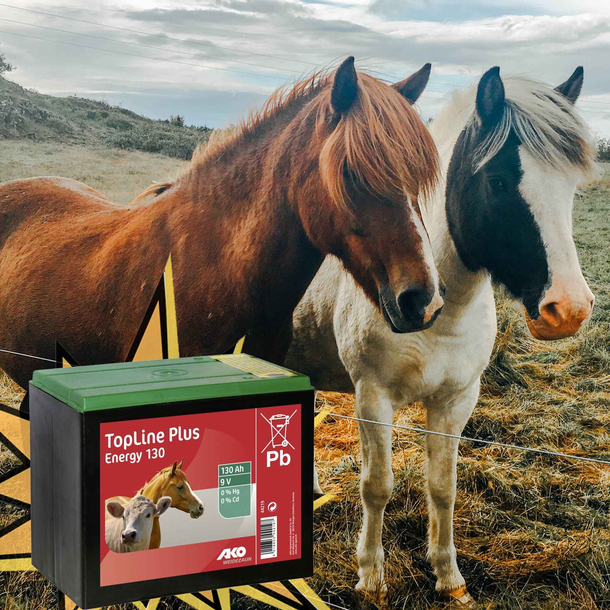 BATTERIA PILA SALINA 55 90 E 130 AH 130 AH