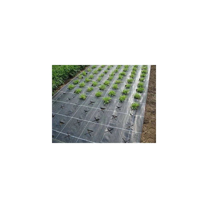 Telo Pacciamatura Anti Erbacce Nero Brixo 10 mt H 1,05