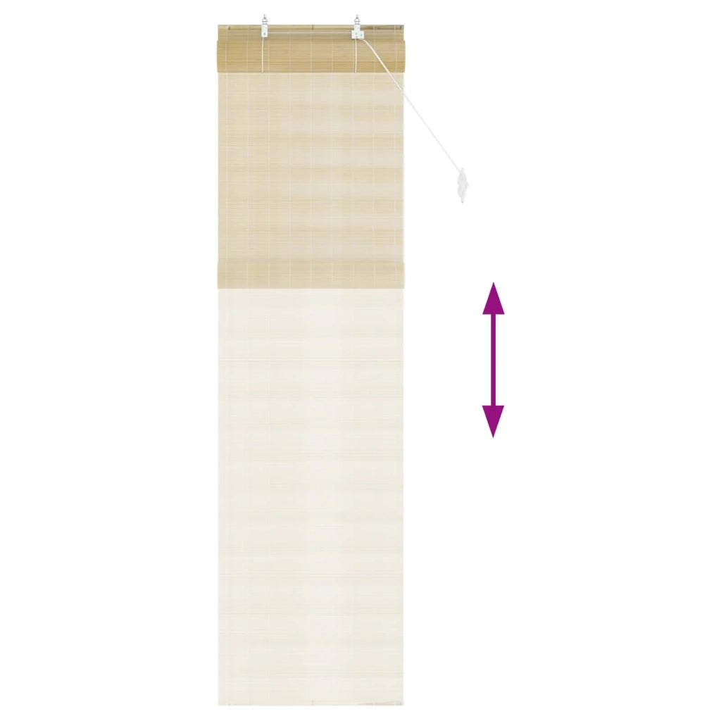 Tenda a rullo Naturale 60 x 220 cm Bambù 42039685