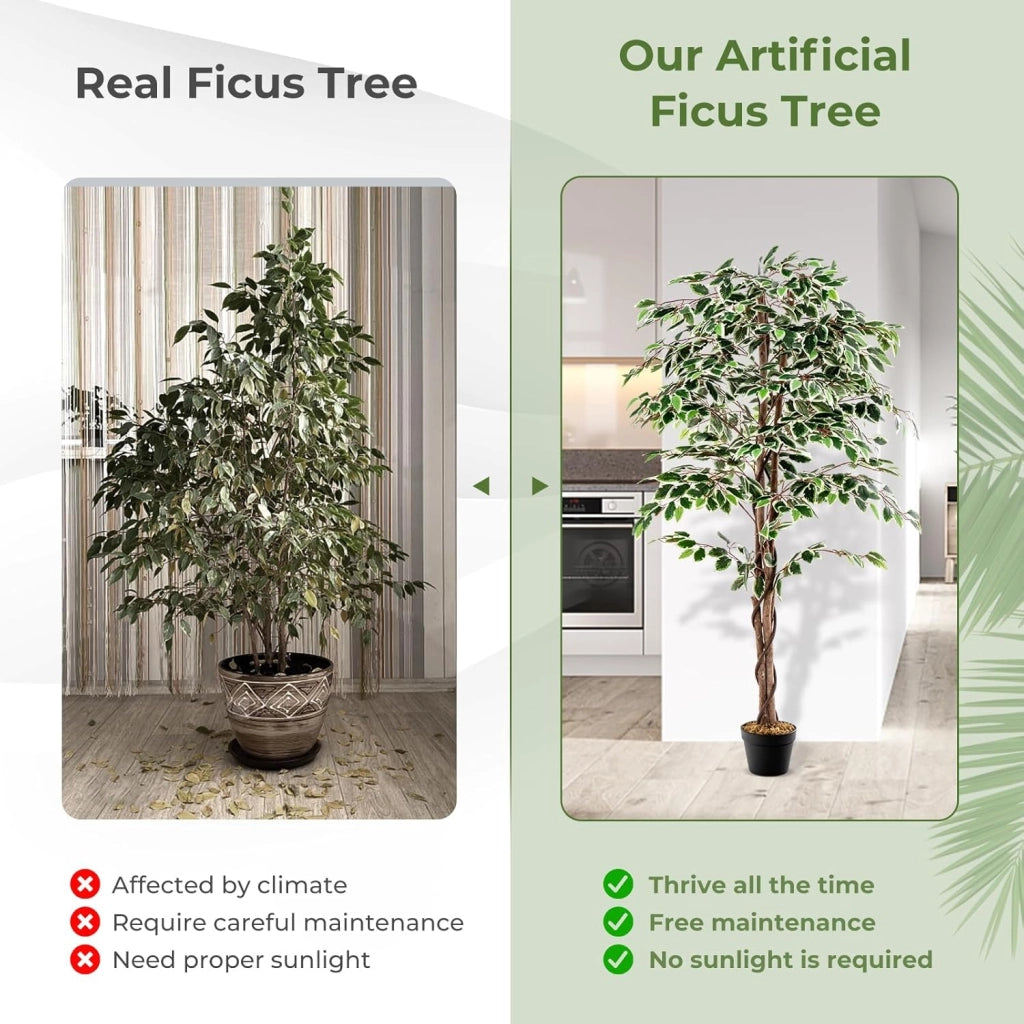 Pianta artificiale 160 cm, pianta artificiale di alta gamma, pianta da appartamento con foglie verdi, vaso riempito di cemento, ficus artificiale con schiuma secca per ufficio, soggiorno