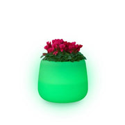 Vaso luminoso moderno di design Ø53 H55 in polimero resistente con LED verde per interno ed esterno - Made in Italy - Monacis