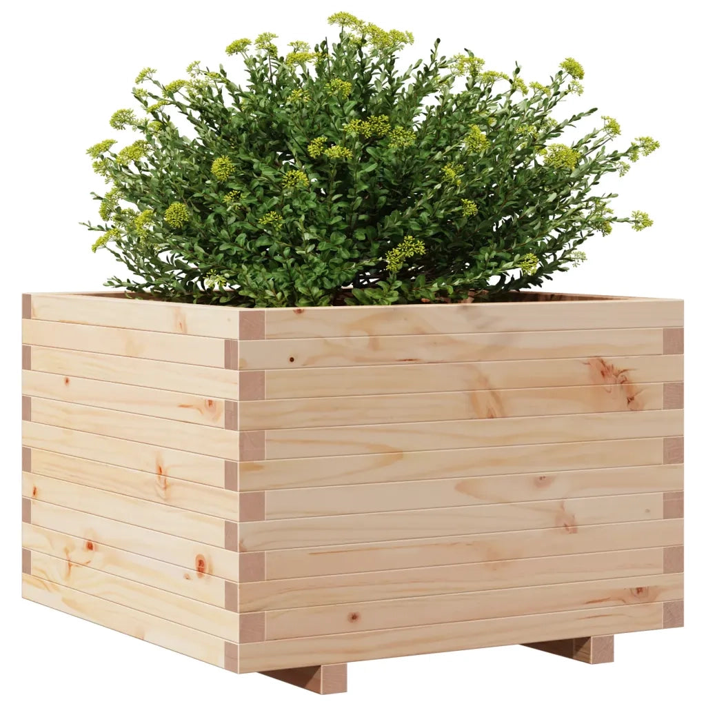 Fioriera da Giardino 70x70x49,5 cm in Legno Massello di Pino 847363