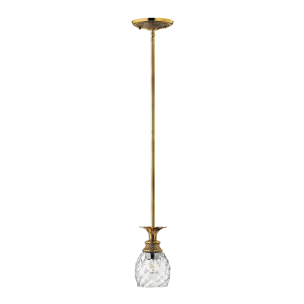 Sospensione Contemporanea Plantation Ottone Bronzo Brunito Vetro 1 Luce E27