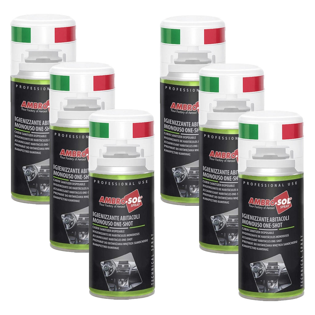 6 X 150ML One Shot Spray - Igienizzante Climatizzatore e Abitacolo Auto Monodose, Spray Pulizia Condizionatore ad Azione Purificante - Ideale per Rimuovere Germi e Batteri - Made in Italy