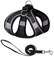 Cinturoni per cani - Linea di cinturoni per cani di piccola taglia anti-fuga - Cinturone per gatti regolabile - Giacca respirante per gatti riflettente - Linea di giacche per cani di piccola e media taglia - XS