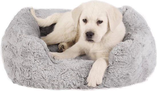 Lounge Lux Cuscino per Cani in Memoria di Schiuma Lavabile Grigio Piccolo 20" x 15" - Cuscino Comodo per Amici Cani con Tasca Lavabile