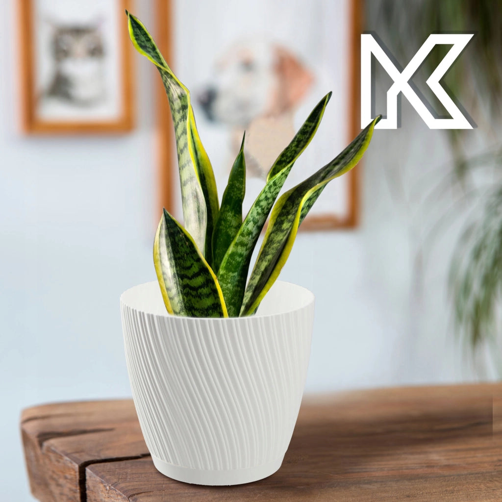 Vaso da fiori KADAX con supporto, coperchio, ciotola rotonda, 19 cm, bianco