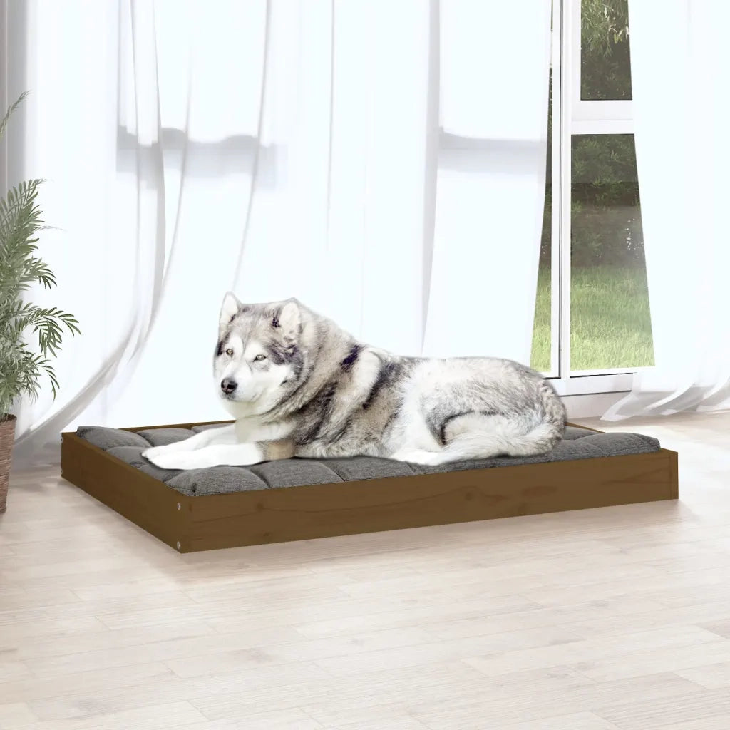 Cuccia per Cani Miele 101,5x74x9 cm in Legno Massello di Pino