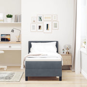 Letto Box Spring con Materasso Grigio Scuro 80x200 cm in Velluto