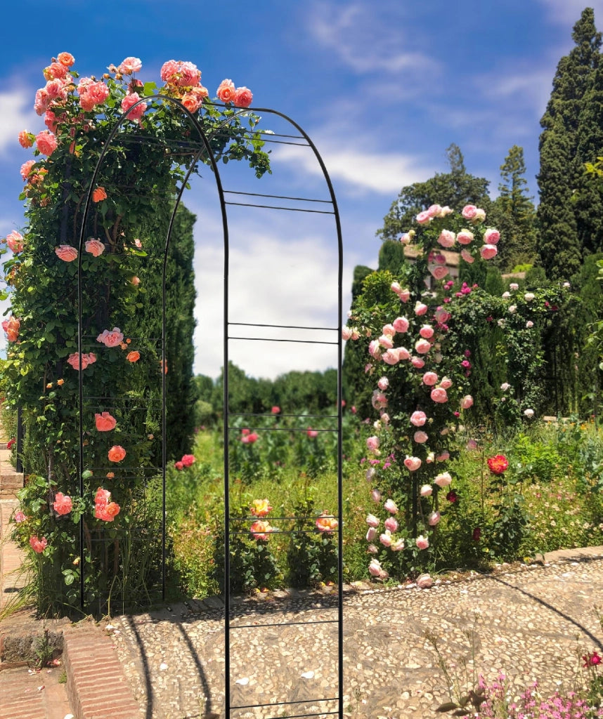 Pergola da giardino KADAX per fiori e rose, arco floreale in metallo, 255 cm