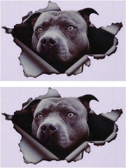 Pitbull Sticker Carrefa - Paraurti - Riflettenti - Cane - Finestra del Veicolo - Veicoli - Polivinile - Pacchetto da 2