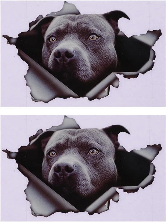Pitbull Sticker Carrefa - Paraurti - Riflettenti - Cane - Finestra del Veicolo - Veicoli - Polivinile - Pacchetto da 2