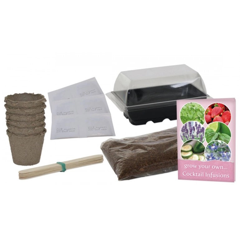 Kit regalo per la Coltivazione di Erbe Aromatiche per Cocktail di 6 varietà, con miniserra, vasi, terriccio e semi