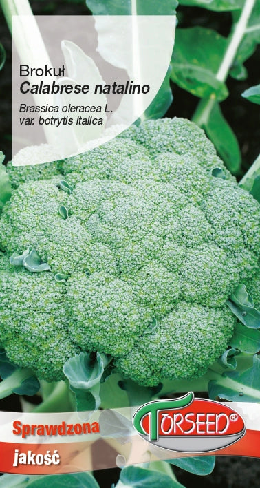 Broccoli italiani calabresi natalino 2g