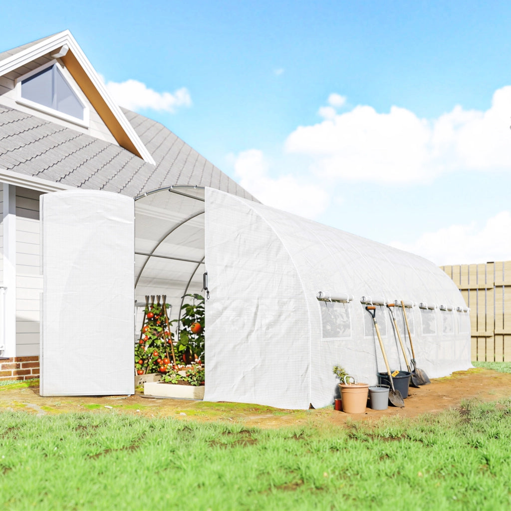 Tunnel Serra 6x3x2 m ¨C Zephmum ¨C Bianco Acciaio Galvanizzato 12 Finestre