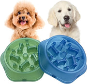 Lento Alimentatore per Cuccioli di Piccole e Medie Razze Cani Animale Domestico (Azzurro+Verde)